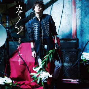 礼堂光拍的艺术片叫什么
