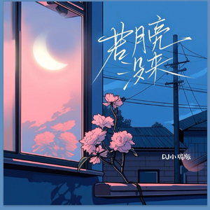 礼堂光拍的艺术片叫什么
