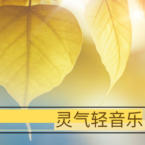 礼堂光拍的艺术片叫什么
