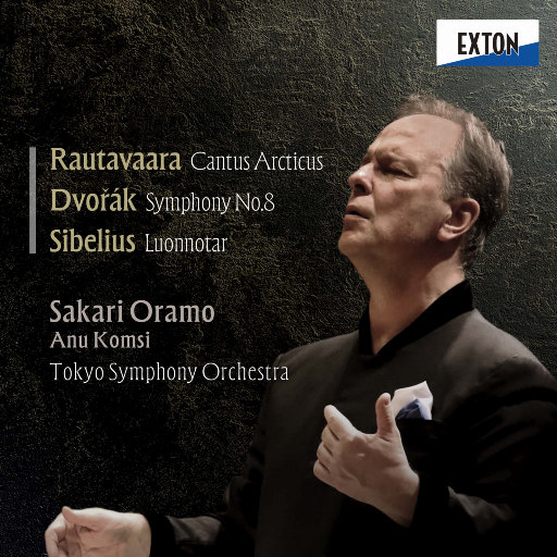 礼堂光拍的艺术片叫什么
